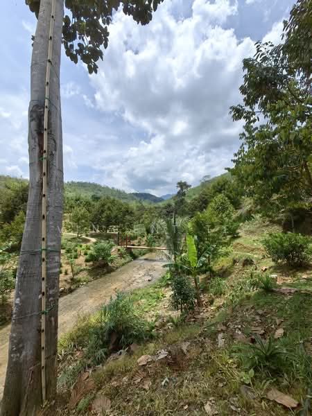 Tanah Pertanian untuk Dijual di Kenaboi (Negeri Sembilan) - Vincent Tee - Exterior - PropertyGuru.com.my