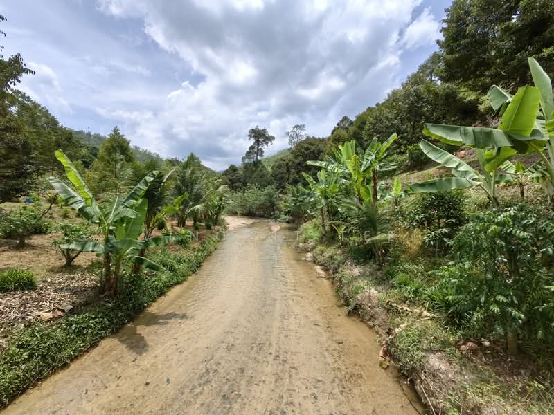 Tanah Pertanian untuk Dijual di Kenaboi (Negeri Sembilan) - Vincent Tee - Exterior - PropertyGuru.com.my