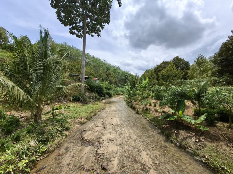 Tanah Pertanian untuk Dijual di Kenaboi (Negeri Sembilan) - Vincent Tee - Exterior - PropertyGuru.com.my