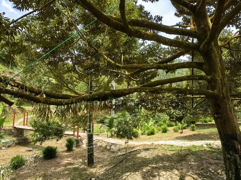 Tanah Pertanian untuk Dijual di Kenaboi (Negeri Sembilan) - Vincent Tee - Exterior - PropertyGuru.com.my