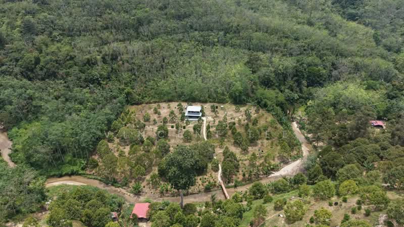 Tanah Pertanian untuk Dijual di Kenaboi (Negeri Sembilan) - Vincent Tee - Exterior - PropertyGuru.com.my