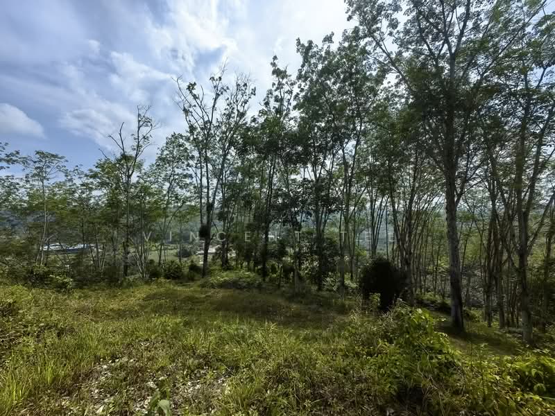 Tanah Pertanian untuk Dijual di Jerantut (Pahang) - Vincent Tee - Exterior - PropertyGuru.com.my