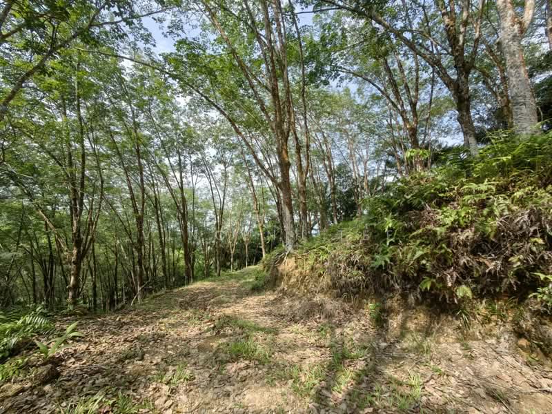Tanah Pertanian untuk Dijual di Jerantut (Pahang) - Vincent Tee - Exterior - PropertyGuru.com.my