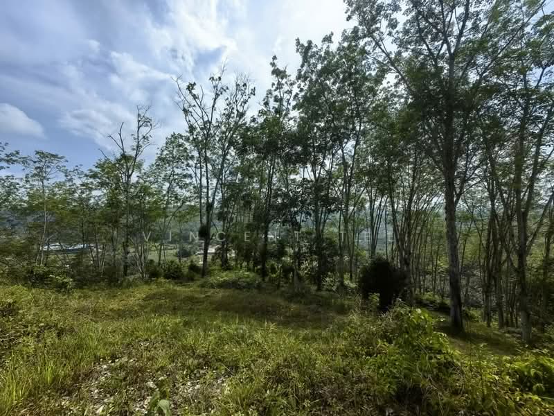 Tanah Pertanian untuk Dijual di Jerantut (Pahang) - Vincent Tee - Garden - PropertyGuru.com.my