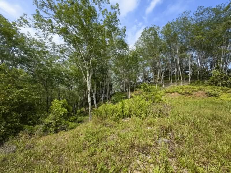 Tanah Pertanian untuk Dijual di Jerantut (Pahang) - Vincent Tee - Exterior - PropertyGuru.com.my