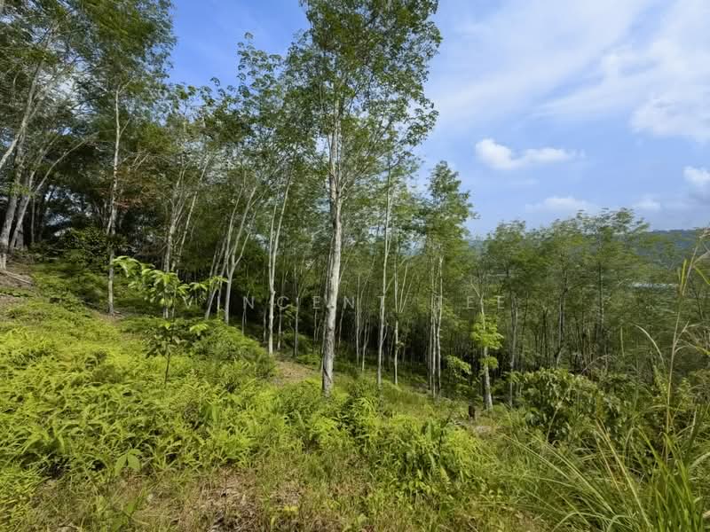 Tanah Pertanian untuk Dijual di Jerantut (Pahang) - Vincent Tee - Garden - PropertyGuru.com.my