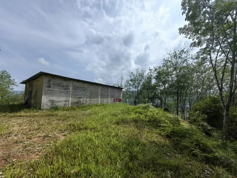 Tanah Pertanian untuk Dijual di Jerantut (Pahang) - Vincent Tee - Exterior - PropertyGuru.com.my