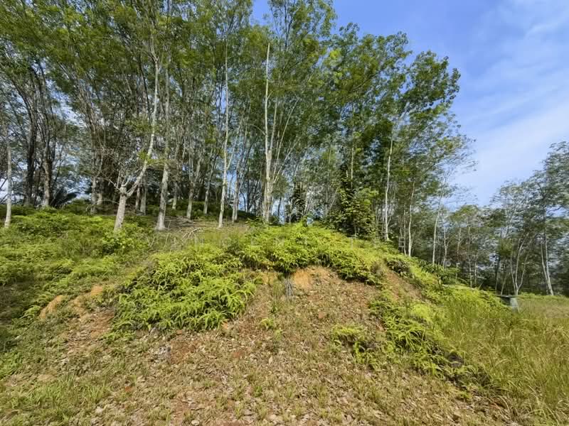 Tanah Pertanian untuk Dijual di Jerantut (Pahang) - Vincent Tee - Exterior - PropertyGuru.com.my