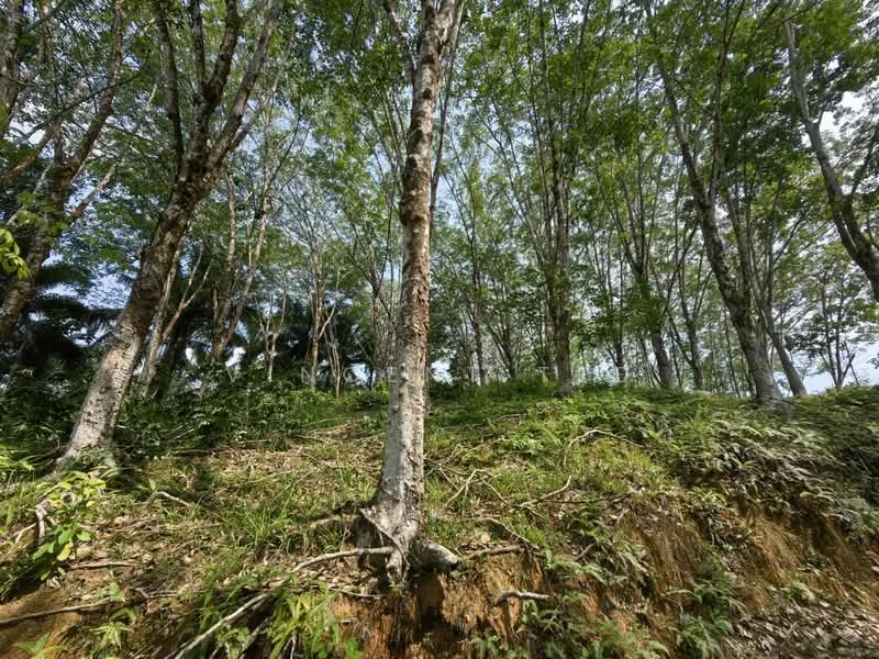 Tanah Pertanian untuk Dijual di Jerantut (Pahang) - Vincent Tee - Exterior - PropertyGuru.com.my