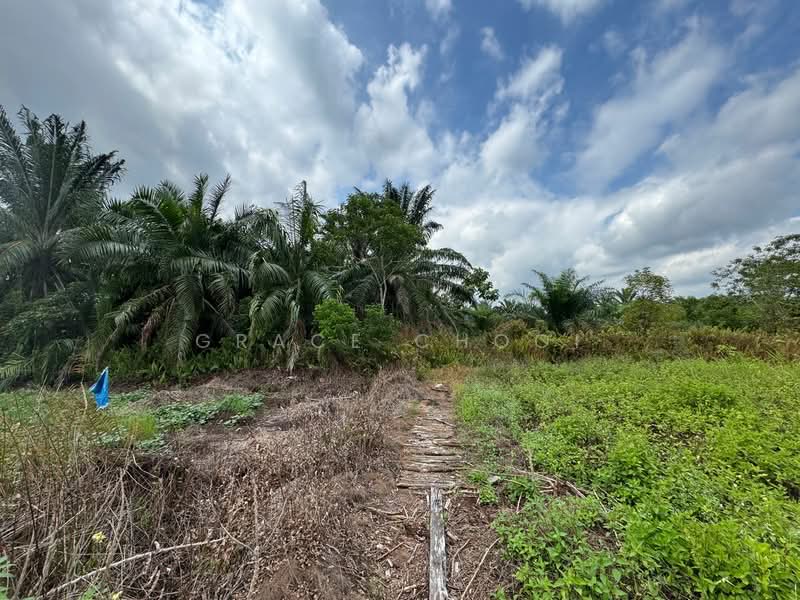 Tanah Perindustrian untuk Dijual di Kampung Hulu Teris (Sepang) - Grace Chooi - PropertyGuru.com.my