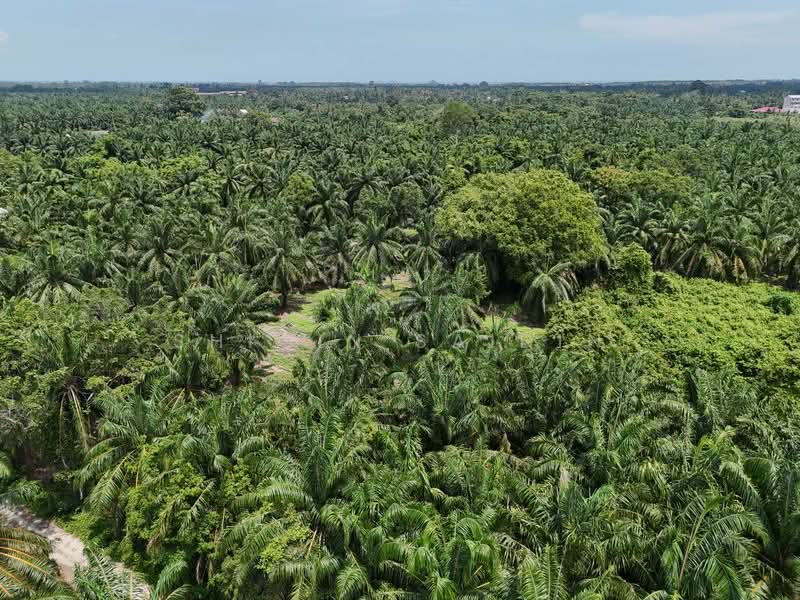 Agricultural Land for Sale in Jeram (Selangor) - Shiqin Saidin - Exterior - PropertyGuru.com.my