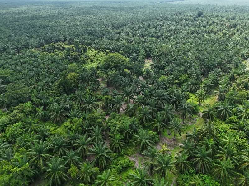 Agricultural Land for Sale in Jeram (Selangor) - Shiqin Saidin - Exterior - PropertyGuru.com.my