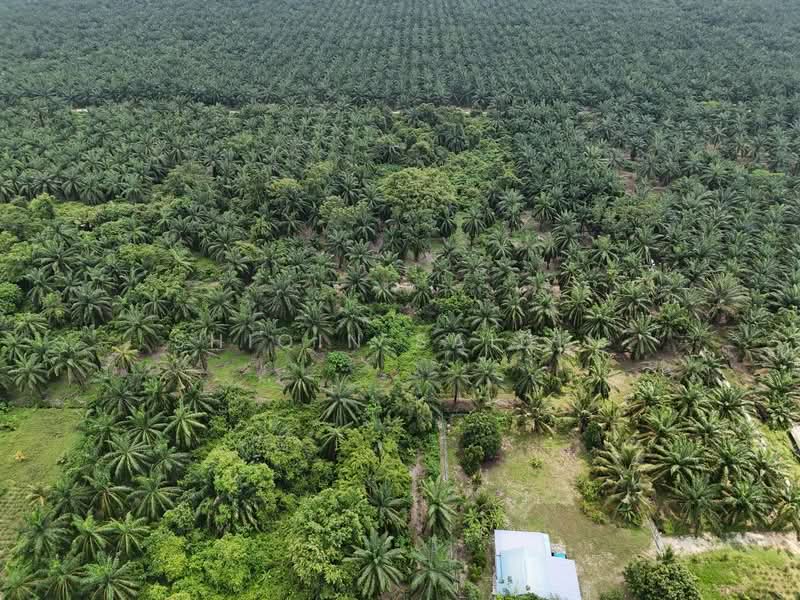 Agricultural Land for Sale in Jeram (Selangor) - Shiqin Saidin - Exterior - PropertyGuru.com.my