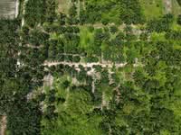For Sale - Jeram