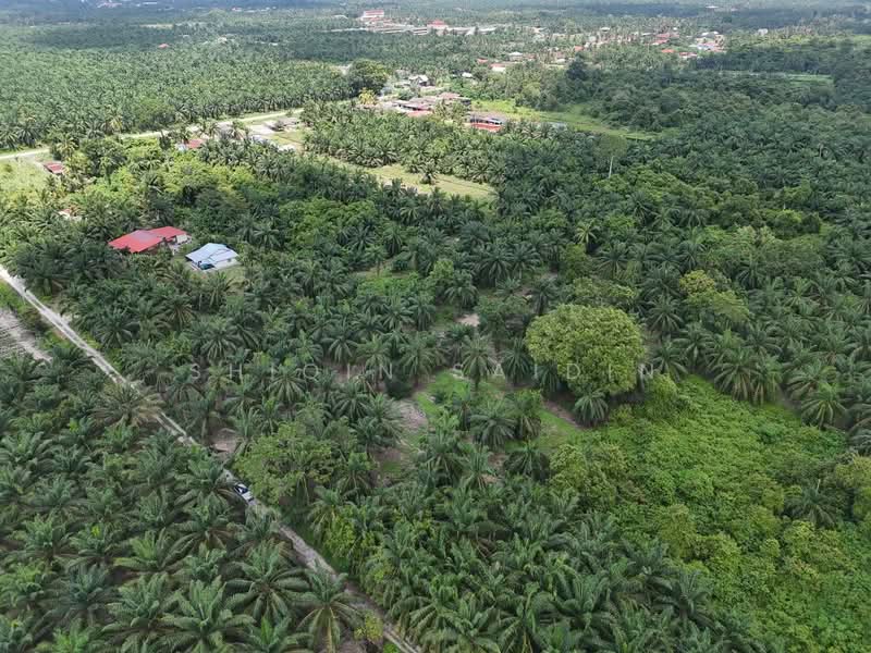 Agricultural Land for Sale in Jeram (Selangor) - Shiqin Saidin - Exterior - PropertyGuru.com.my