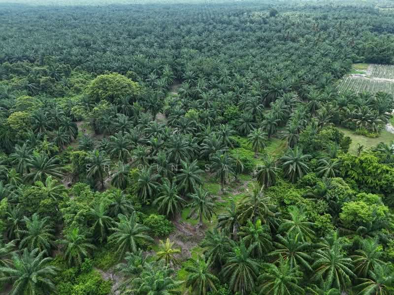 Agricultural Land for Sale in Jeram (Selangor) - Shiqin Saidin - Exterior - PropertyGuru.com.my