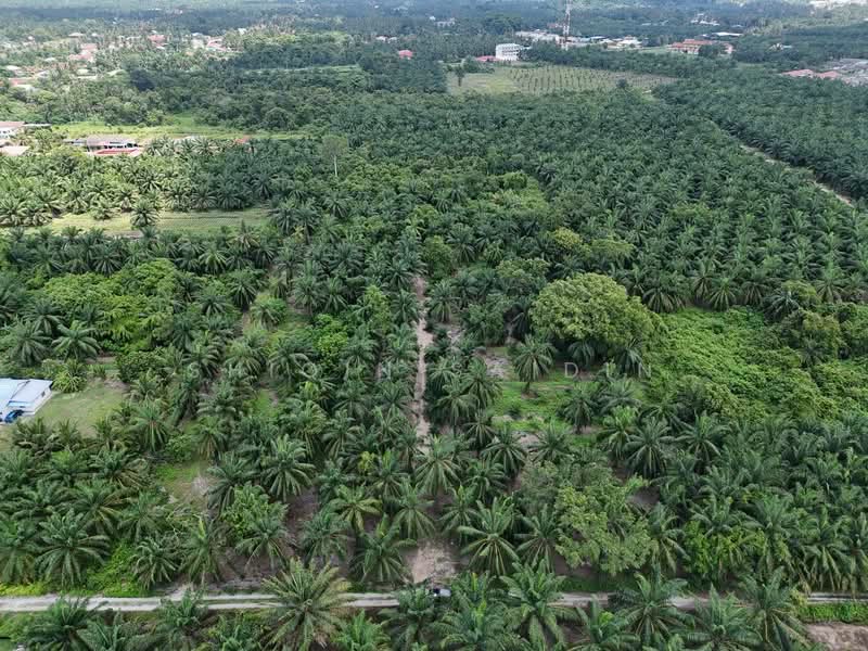 Agricultural Land for Sale in Jeram (Selangor) - Shiqin Saidin - Exterior - PropertyGuru.com.my