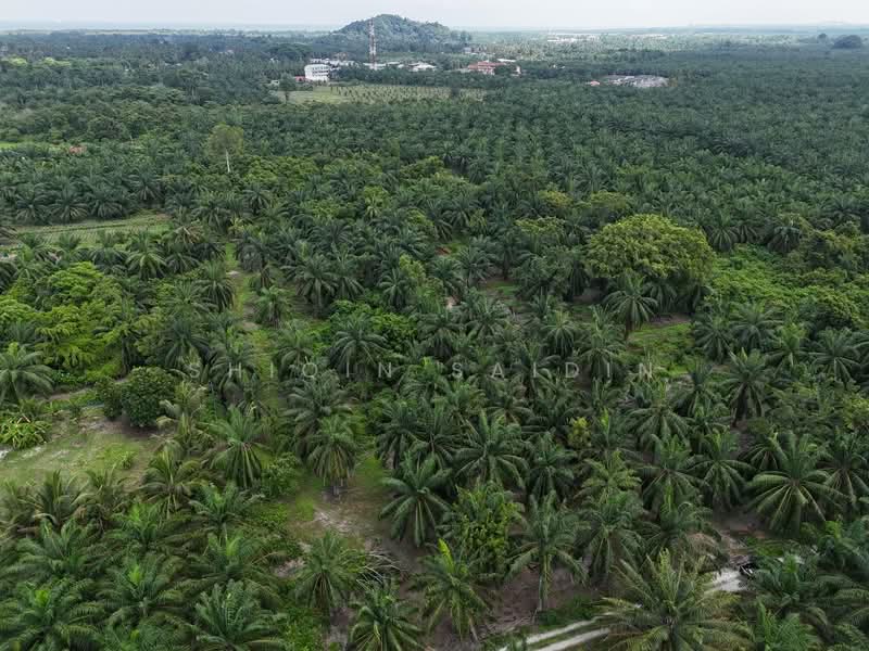 Agricultural Land for Sale in Jeram (Selangor) - Shiqin Saidin - Exterior - PropertyGuru.com.my