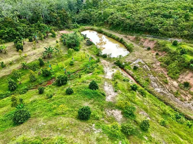 Agricultural Land for Sale in Ayer Keroh (Melaka) - Shiqin Saidin - Garden - PropertyGuru.com.my