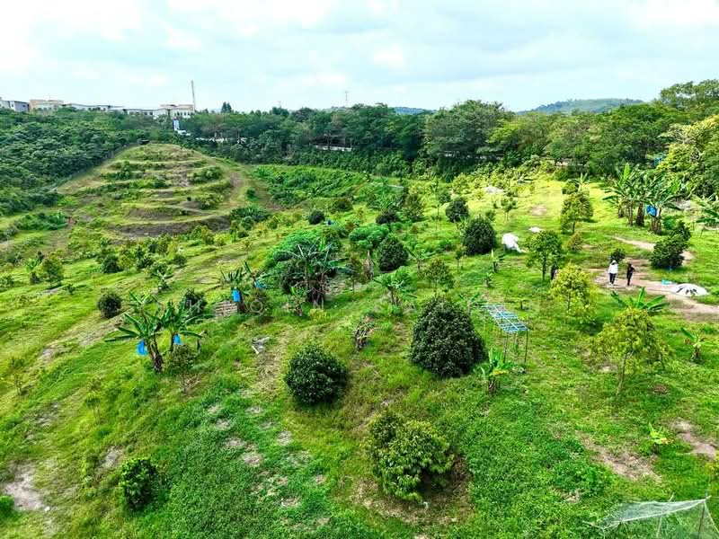 Agricultural Land for Sale in Ayer Keroh (Melaka) - Shiqin Saidin - Garden - PropertyGuru.com.my