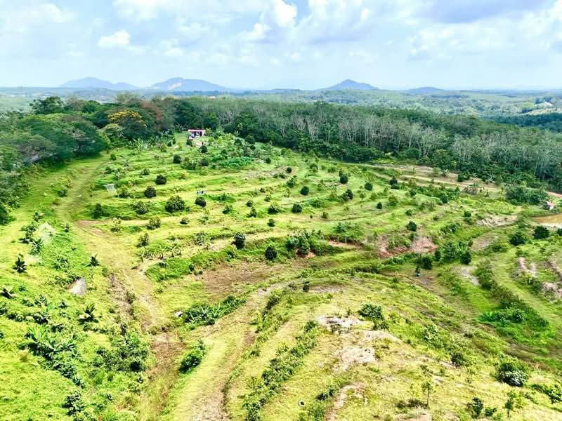 Agricultural Land for Sale in Ayer Keroh (Melaka) - Shiqin Saidin - Garden - PropertyGuru.com.my