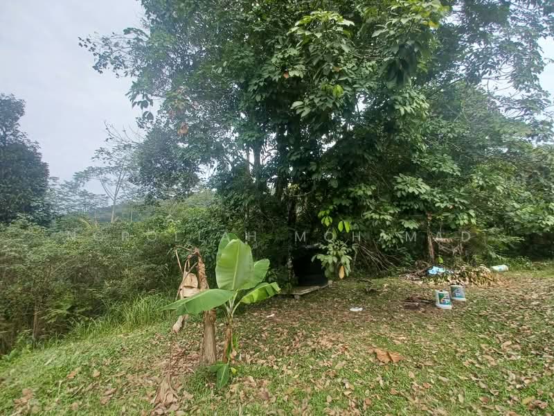 Agricultural Land for Sale in Kampung Sungai Penchala (Sungai Penchala) - NOROLLAH MOHAMAD - Exterior - PropertyGuru.com.my