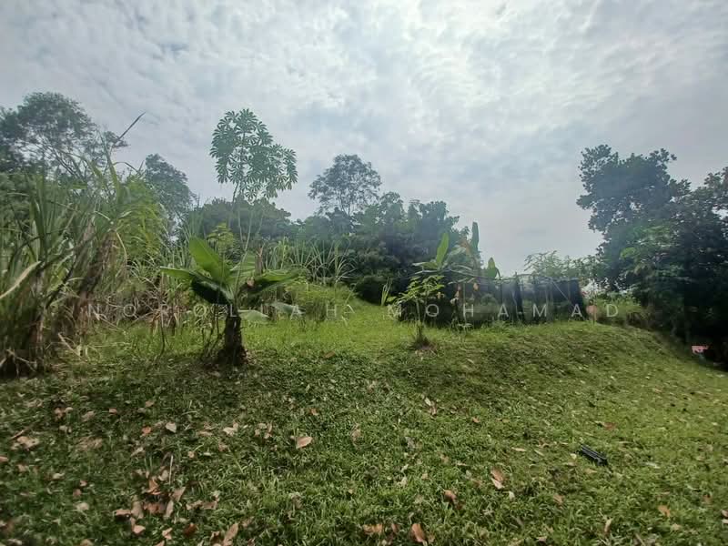 Agricultural Land for Sale in Kampung Sungai Penchala (Sungai Penchala) - NOROLLAH MOHAMAD - Exterior - PropertyGuru.com.my