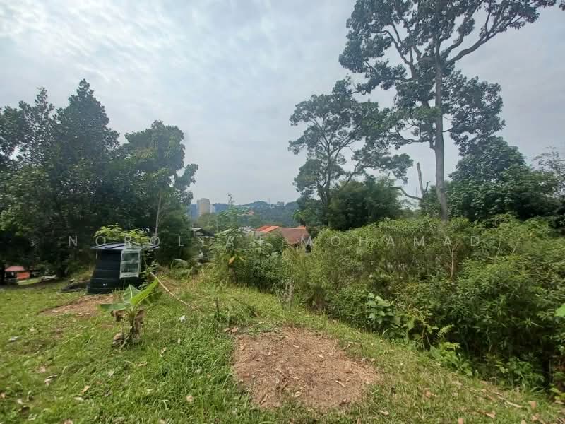 Agricultural Land for Sale in Kampung Sungai Penchala (Sungai Penchala) - NOROLLAH MOHAMAD - Exterior - PropertyGuru.com.my