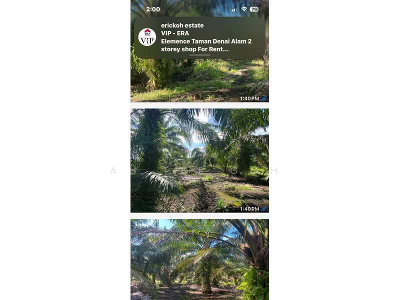 Agricultural Land for Sale in Mersing (Johor) - Ah Tee Goh - PropertyGuru.com.my
