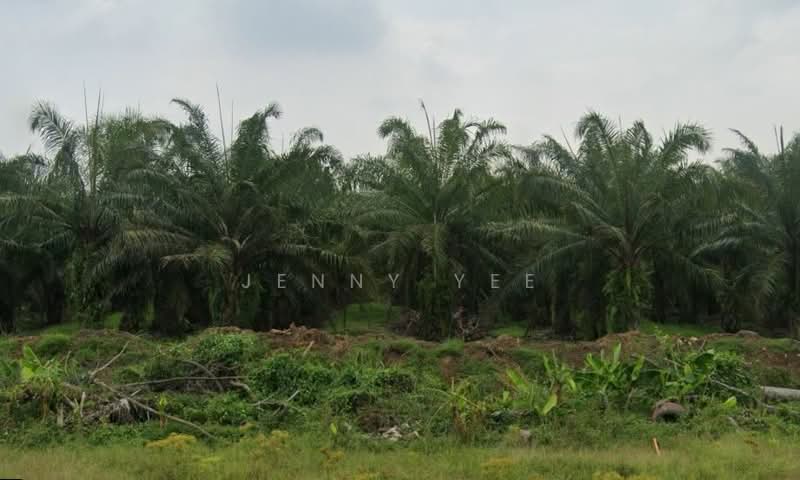 Industrial Land for Sale in Sepang (Selangor) - Jenny Yee - Exterior - PropertyGuru.com.my