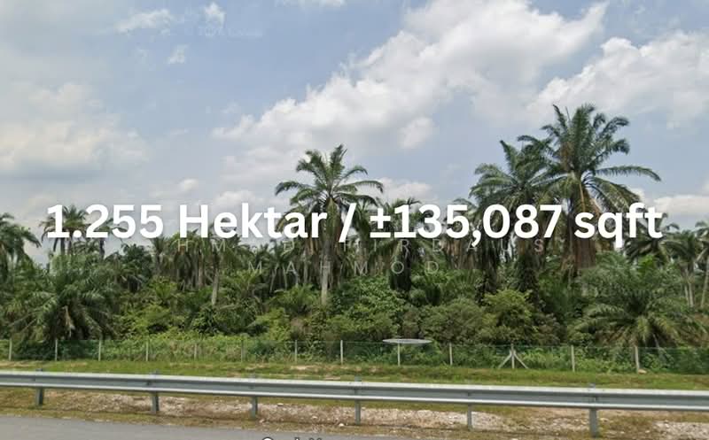 Agricultural Land for Sale in Jeram (Selangor) - Ahmad Firdaus Mahmod - PropertyGuru.com.my