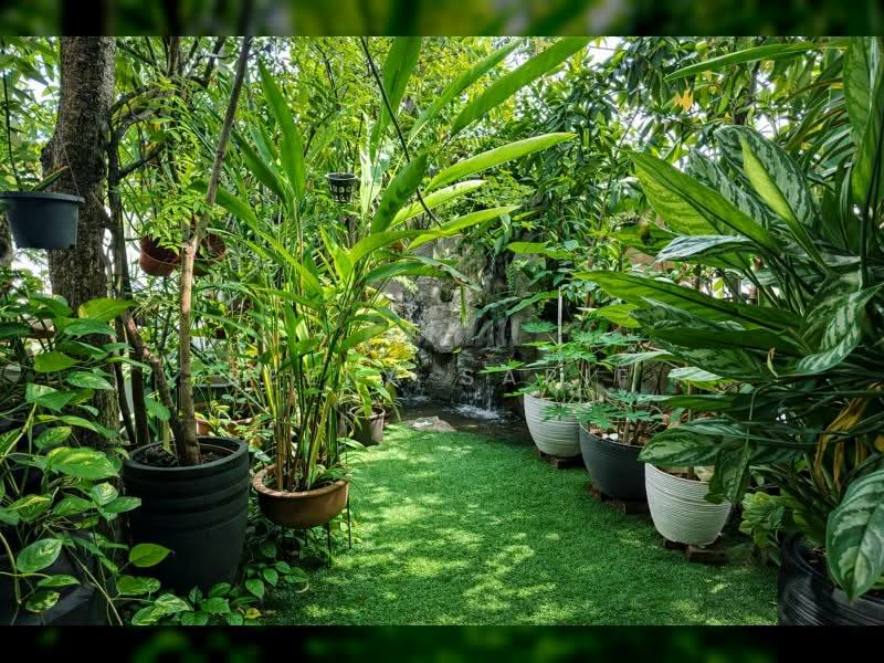 2-storey Terraced House for Sale in Subang Jaya (Selangor) - Reena Sarif - Garden - PropertyGuru.com.my