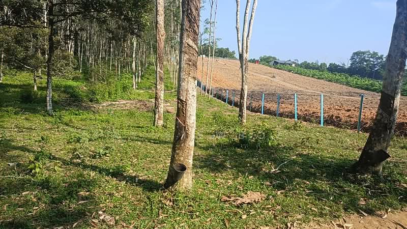 Tanah Pertanian untuk Dijual di Mantin (Negeri Sembilan) - Tay SiewBoey - Exterior - PropertyGuru.com.my
