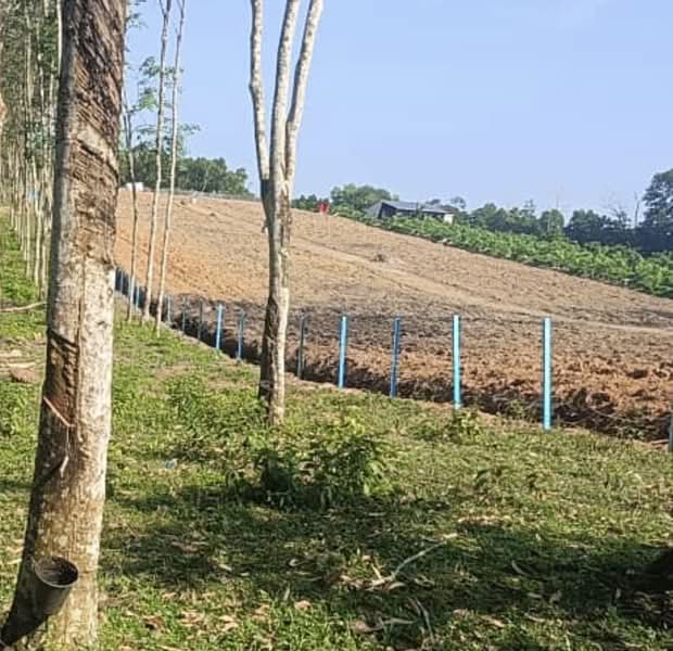 Tanah Pertanian untuk Dijual di Mantin (Negeri Sembilan) - Tay SiewBoey - Exterior - PropertyGuru.com.my