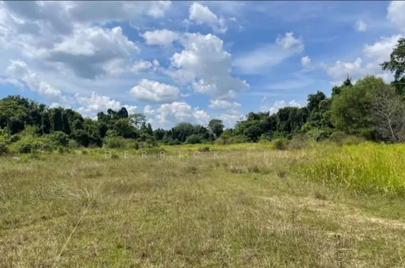 Tanah Pertanian untuk Dijual di Gambang (Pahang) - Derrick Lim - Exterior - PropertyGuru.com.my