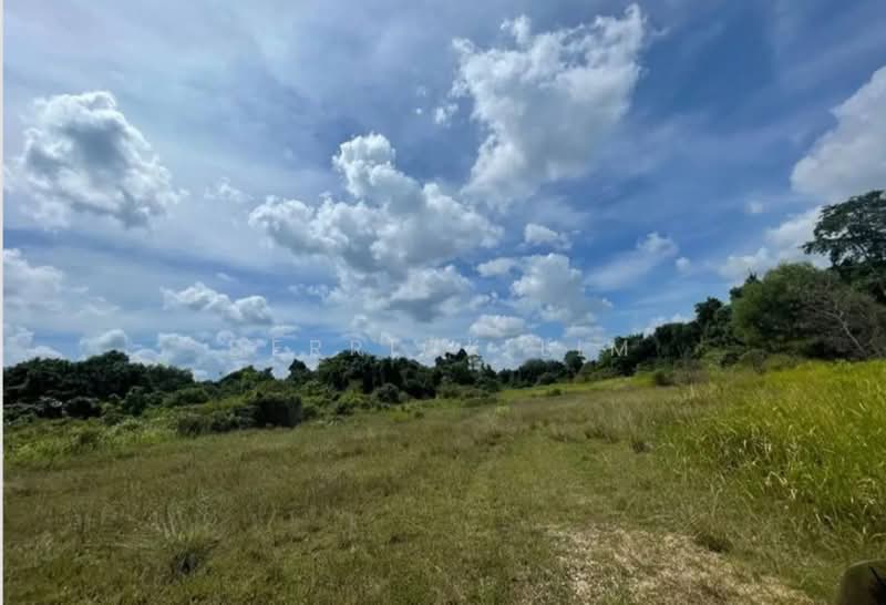 Tanah Pertanian untuk Dijual di Gambang (Pahang) - Derrick Lim - Exterior - PropertyGuru.com.my