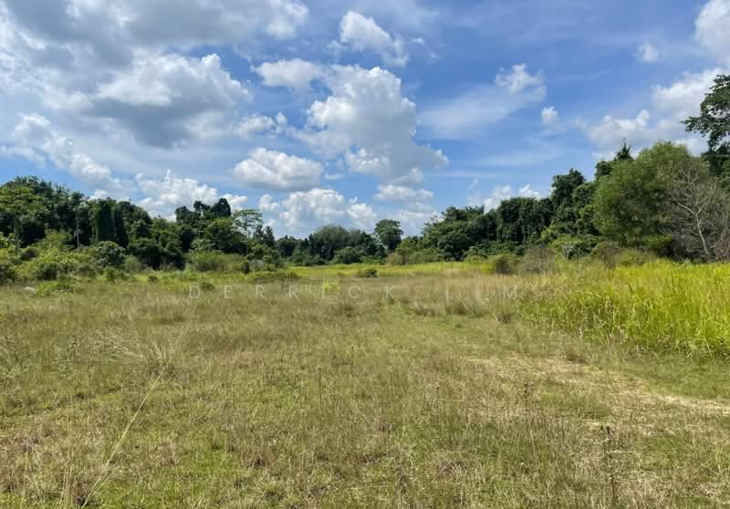 Tanah Pertanian untuk Dijual di Gambang (Pahang) - Derrick Lim - Exterior - PropertyGuru.com.my