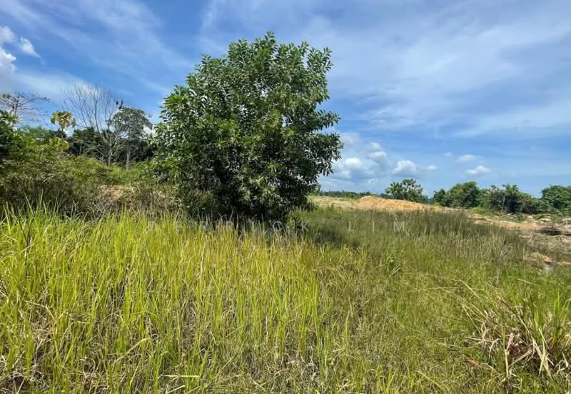 Tanah Pertanian untuk Dijual di Gambang (Pahang) - Derrick Lim - Exterior - PropertyGuru.com.my