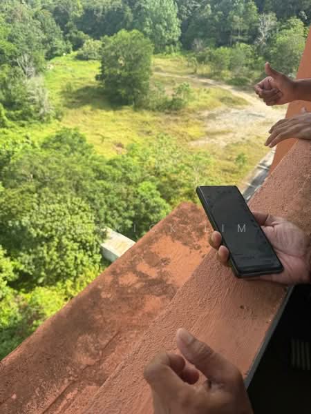 Tanah Pertanian untuk Dijual di Gambang (Pahang) - Derrick Lim - Exterior - PropertyGuru.com.my