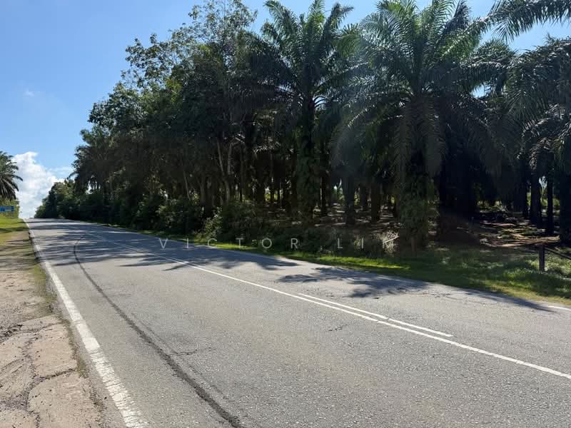 Agricultural Land for Sale in Kulai (Johor) - Victor Lim - Exterior - PropertyGuru.com.my