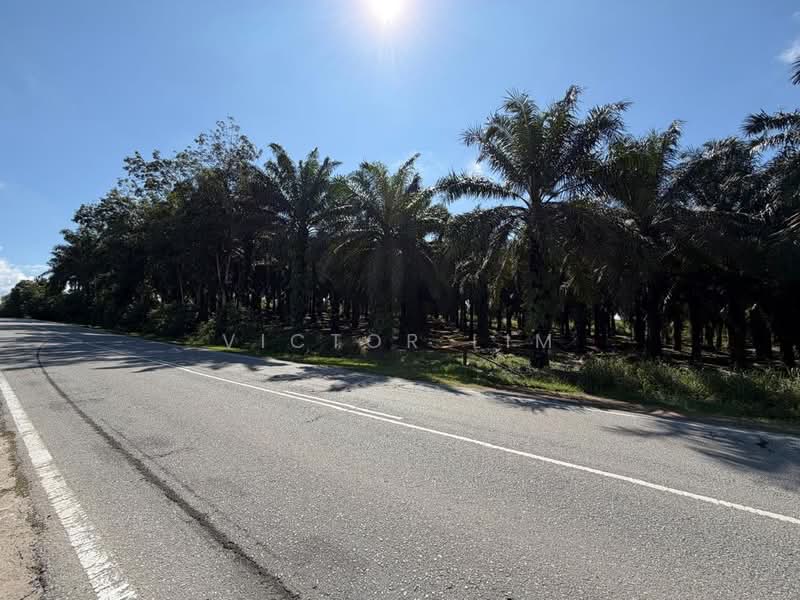 Agricultural Land for Sale in Kulai (Johor) - Victor Lim - PropertyGuru.com.my