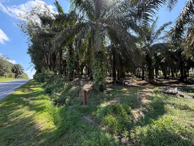 Agricultural Land for Sale in Kulai (Johor) - Victor Lim - PropertyGuru.com.my