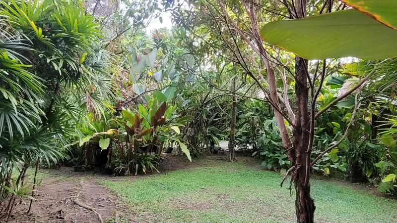 Tanah Pertanian untuk Dijual di Bukit Segambut (Batu) - Jeslyne Low - Garden - PropertyGuru.com.my