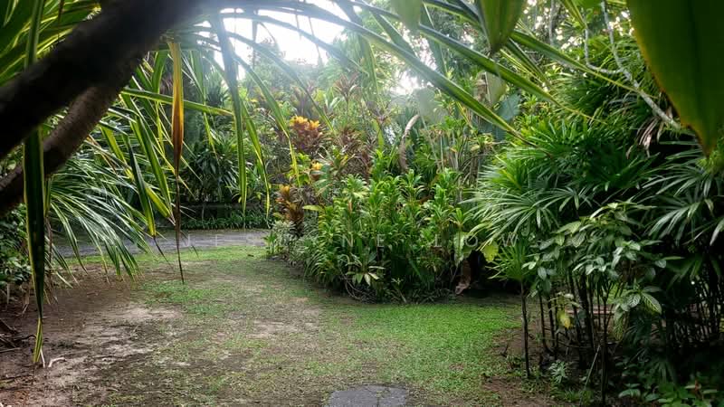 Tanah Pertanian untuk Dijual di Bukit Segambut (Batu) - Jeslyne Low - Garden - PropertyGuru.com.my