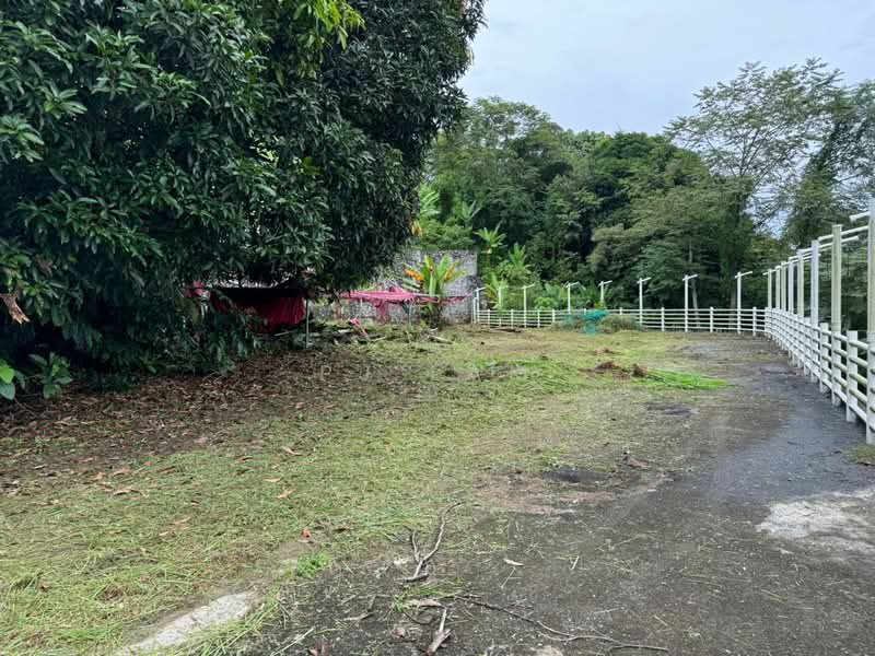 Tanah Pertanian untuk Dijual di Kampung Sri Broga (Semenyih) - PJ LAM - Exterior - PropertyGuru.com.my