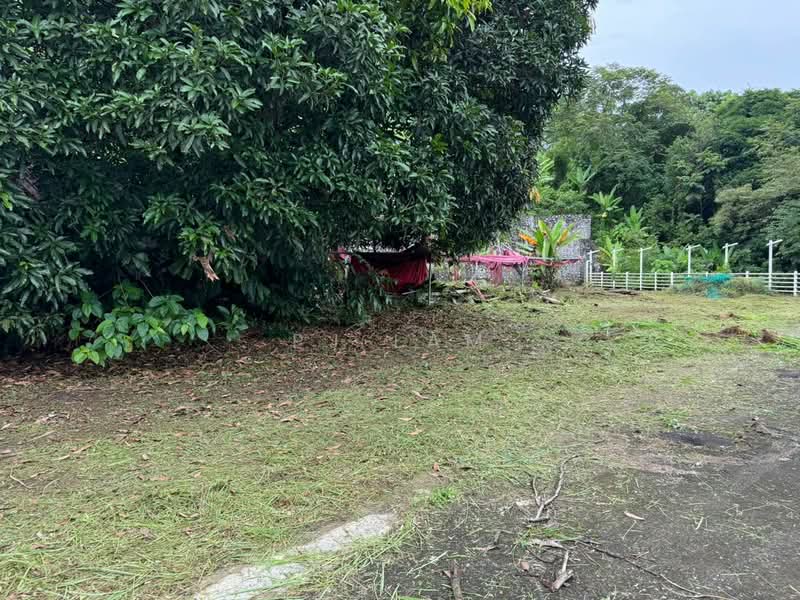 Tanah Pertanian untuk Dijual di Kampung Sri Broga (Semenyih) - PJ LAM - Exterior - PropertyGuru.com.my