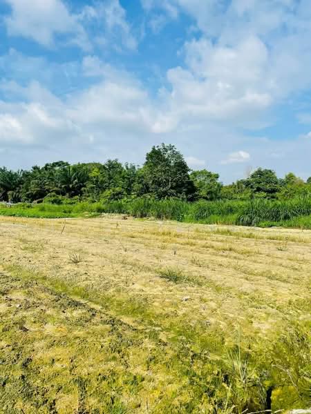 Tanah Pertanian untuk Dijual di Permas Jaya (Johor) - Michelle Koh - PropertyGuru.com.my