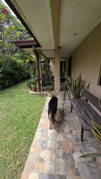 Rumah Teres 2 Tingkat untuk Dijual di Ara Damansara (Selangor) - Celine Chin - Exterior - PropertyGuru.com.my