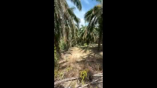 Tanah Pertanian untuk Dijual di Sungai Siput (Perak) - Qazin Khoo - PropertyGuru.com.my