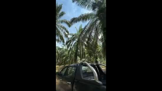 Tanah Pertanian untuk Dijual di Sungai Siput (Perak) - Qazin Khoo - PropertyGuru.com.my